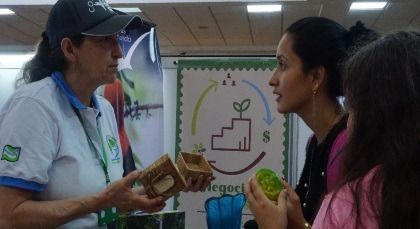 Apostándole al medio ambiente, 39 empresas se inscribieron en la convocatoria de Negocios Verdes 2019