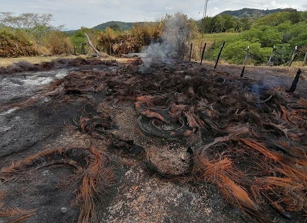 Sancionan a dueño de finca en Mariquita por incinerar 150 llantas