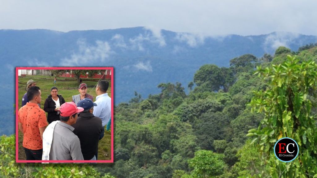 Ruta de la Conservación del Bosque de Galilea avanza en el Tolima
