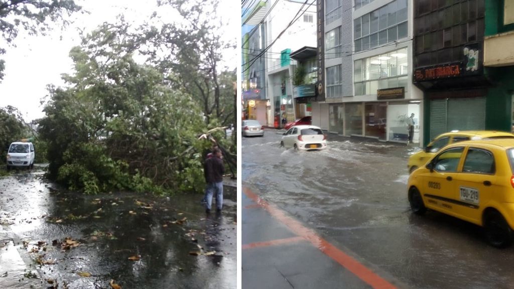 Lluvias y tormentas dejaron inundaciones, árboles caídos y una persona herida