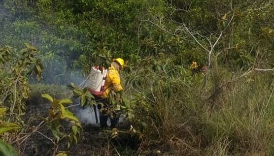 Temperaturas en Carmen de Apicalá ascienden a más de 35 grados centígrados