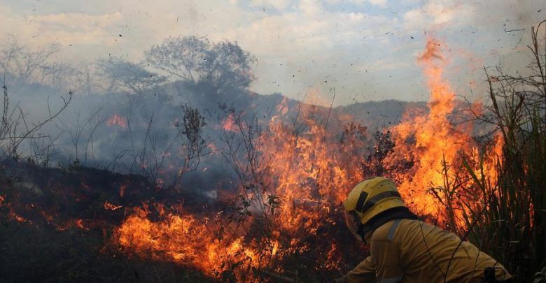 Cincuenta incendios forestales se registraron en julio en el Tolima
