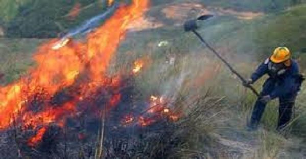 Avanzan incendios forestales en Carmen de Apicalá, San Luis y Prado