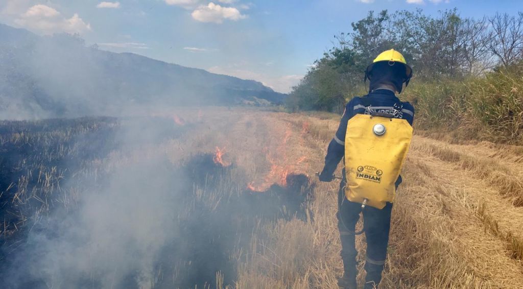 Cortolima sancionará a quienes realicen quemas controladas en cultivos