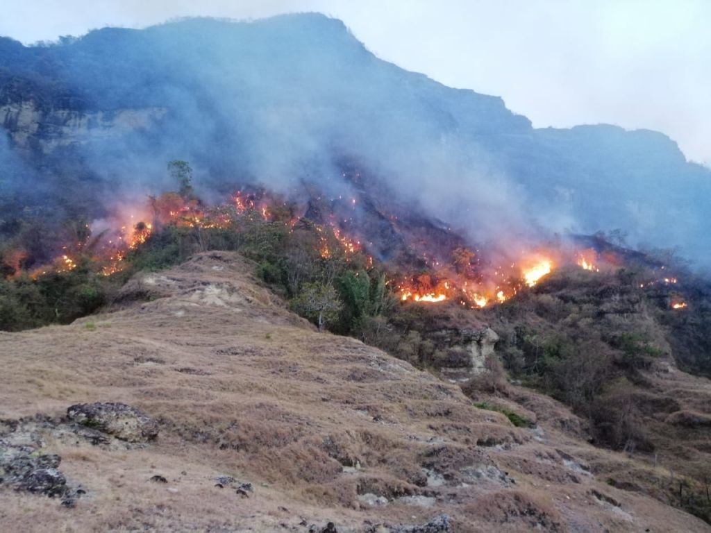 Organismos de socorro luchan contra más incendios forestales