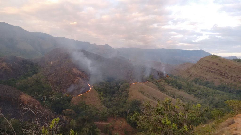 El Tolima en alerta roja por alta probabilidad de incendios forestales