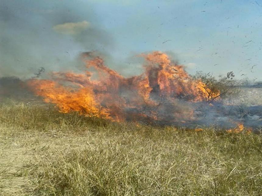 41 incendios forestales se han presentado este año en Ibagué