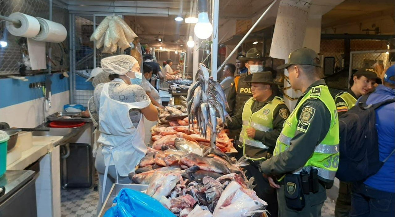 Incautan 32 kilos de pescado en plazas de mercado de Ibagué