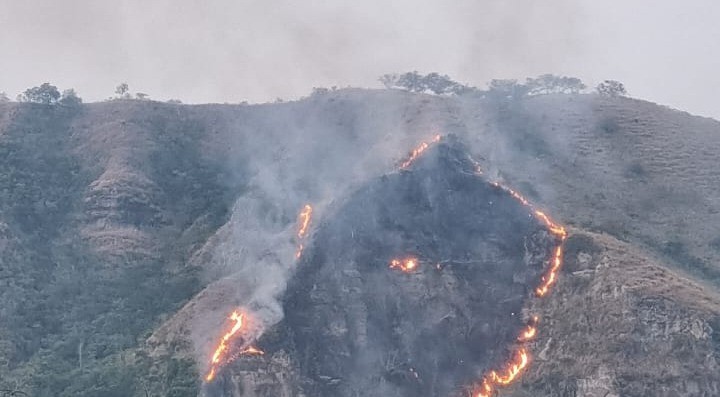 Incendio en Honda fue provocado