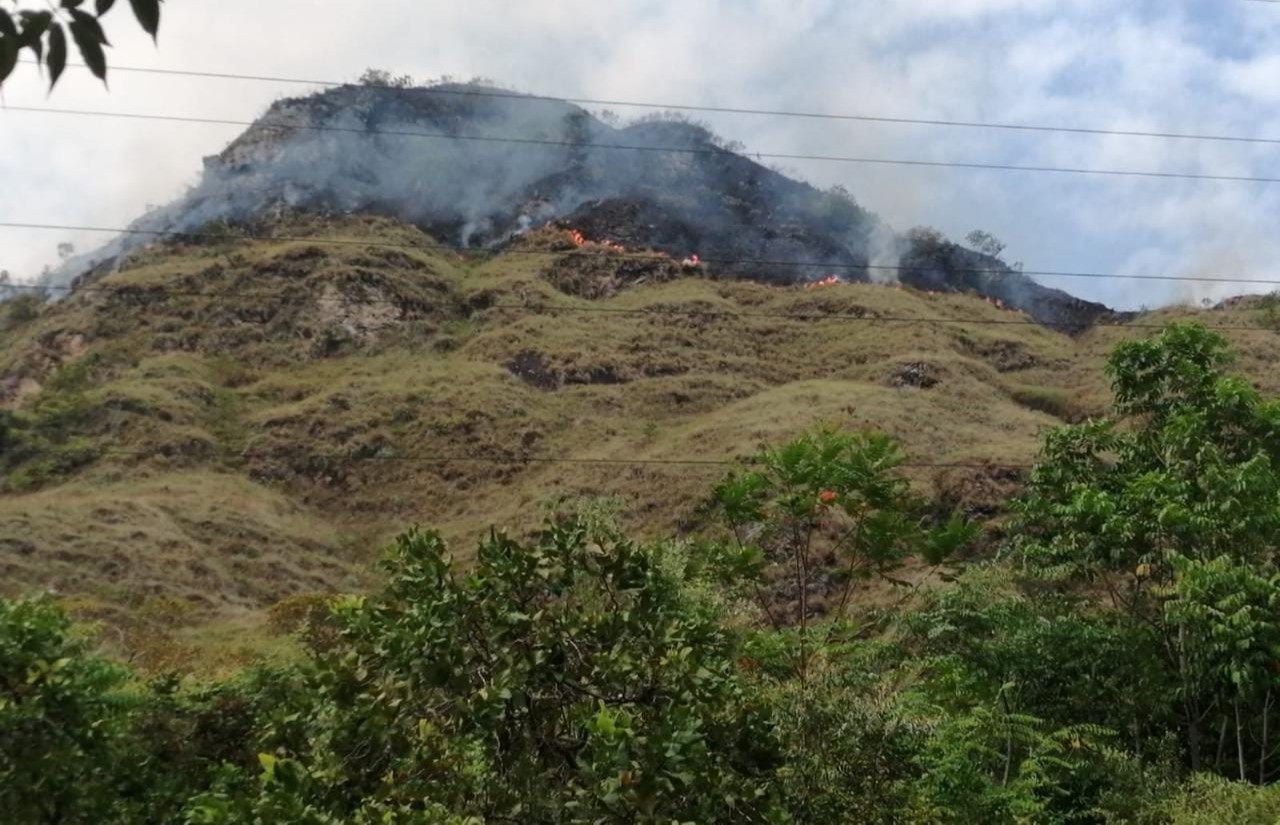 Incendio forestal ha consumido 150 hectáreas en Prado