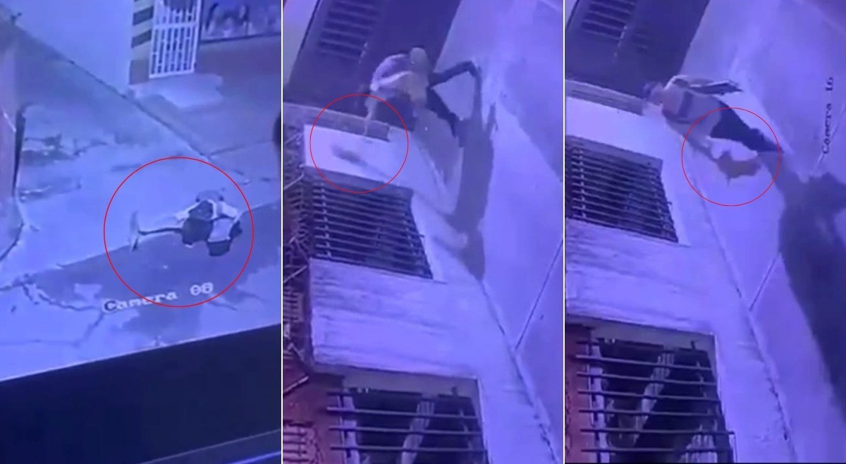 Gata ‘Isadora’ fue atacada por un energúmeno