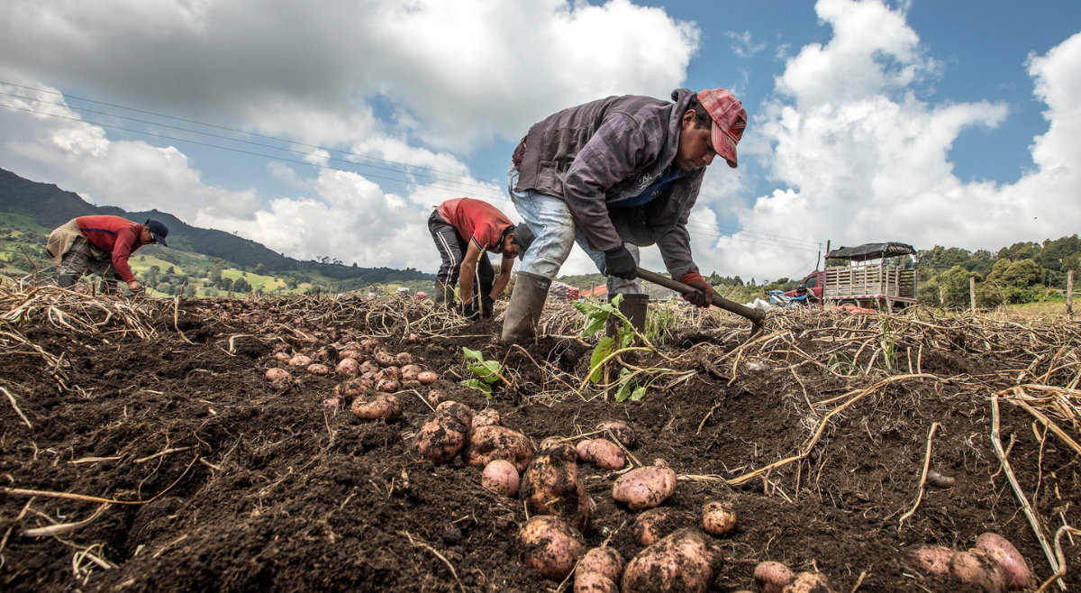 Inicia la compra de tierras para campesinos