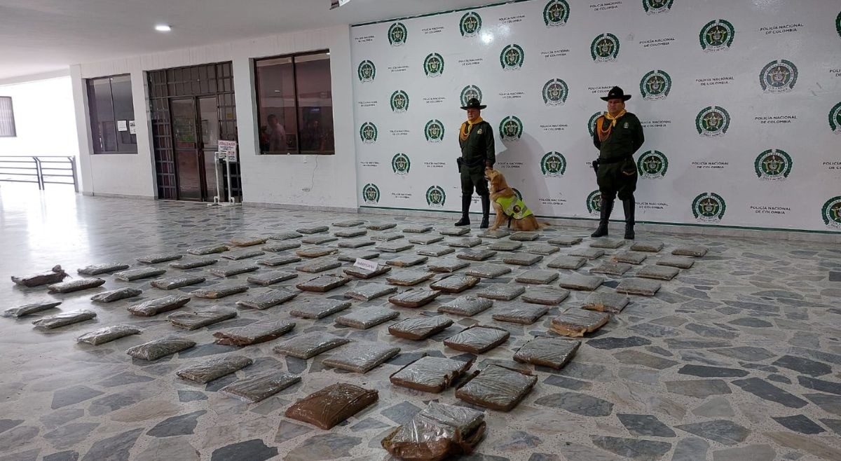 Perro antinarcótico encuentra 85.000 dosis de marihuana en Ibagué