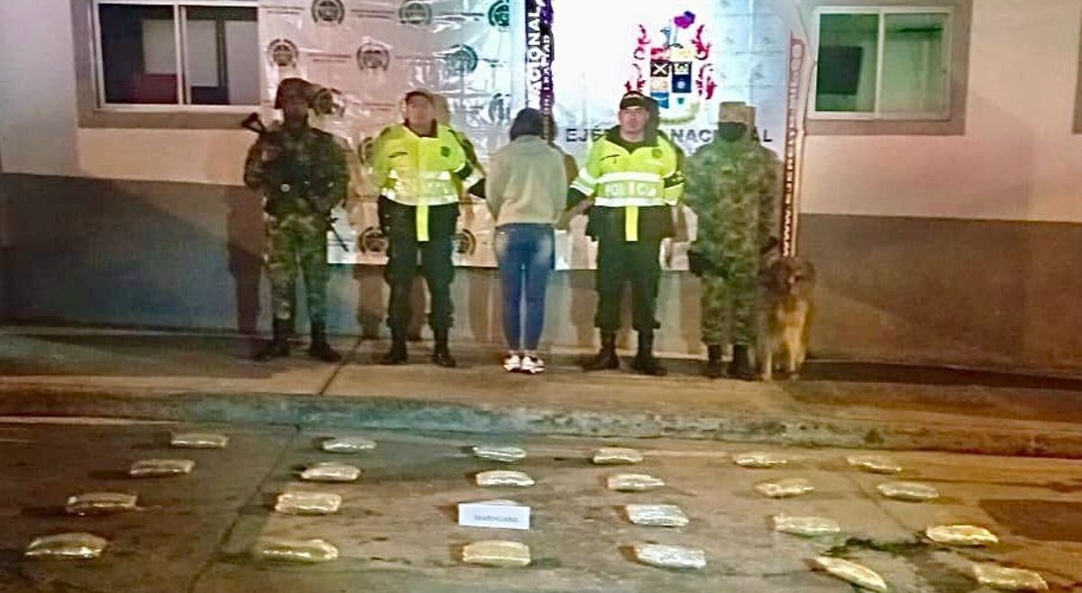 ‘Killer’, el perro de antinarcóticos que ubicó 14 kilos de marihuana