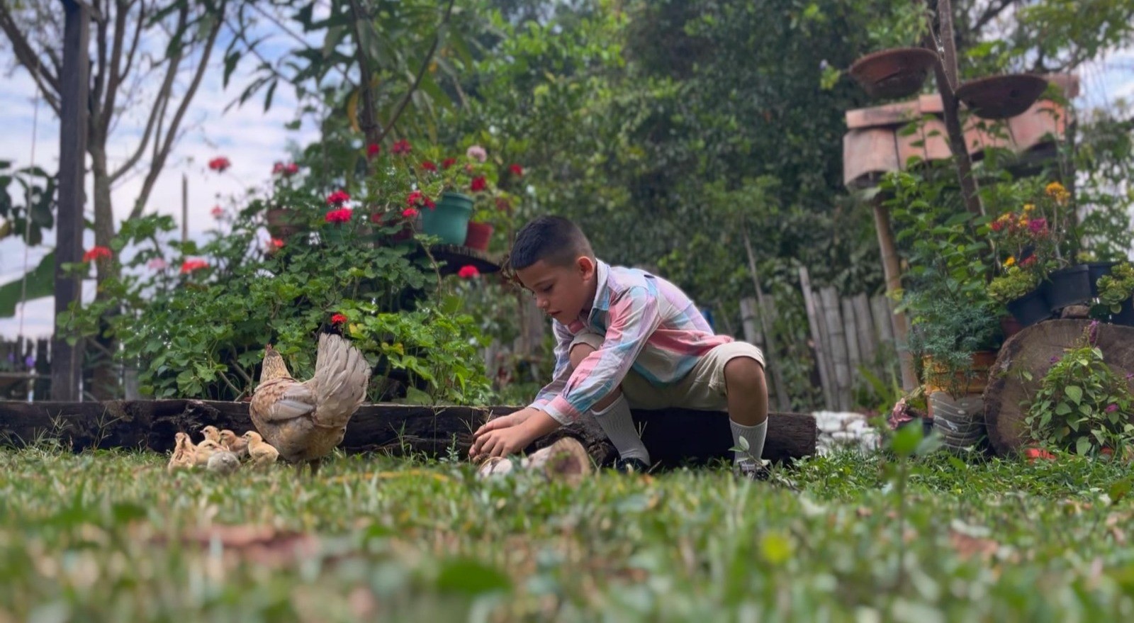 ‘La Guerra de las Gallinas’, la producción tolimense que narra el conflicto armado