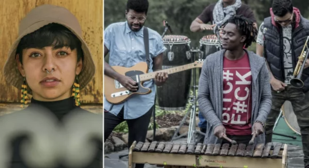 Llegó la hora del Festival Disonarte 2022: Herencia de Timbiqui y La Muchacha en Ibagué