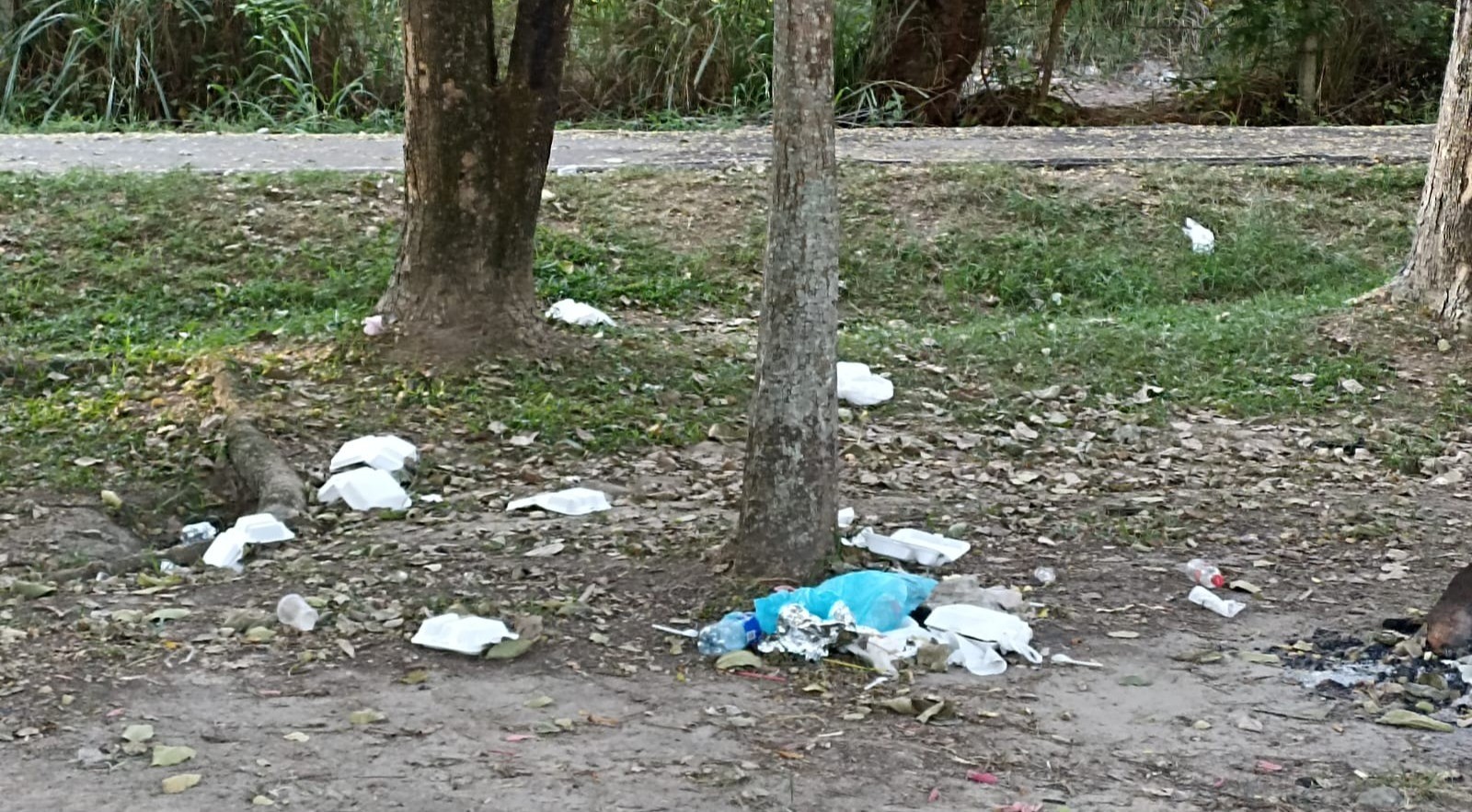 La variante no es basurero