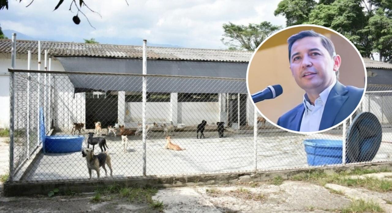 Procuraduría investiga presunto maltrato a los animales en el CAPA de Ibagué