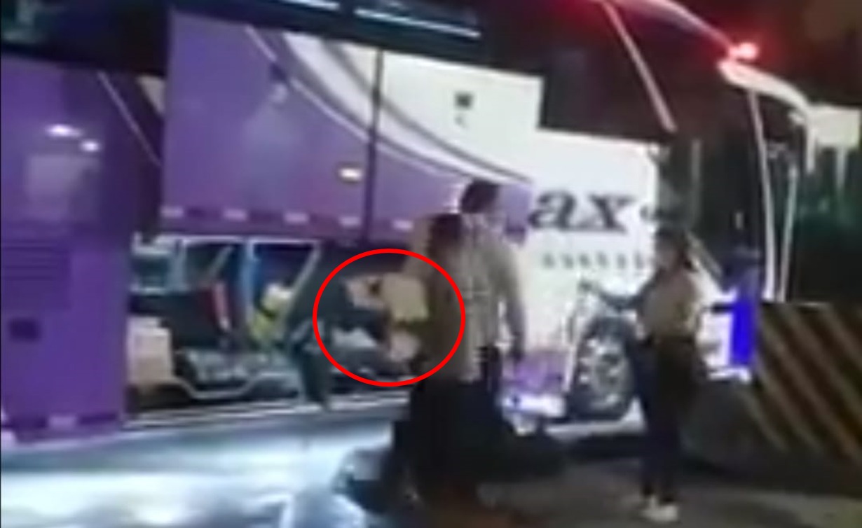 Formulan cargos a Velotax por presunto maltrato animal