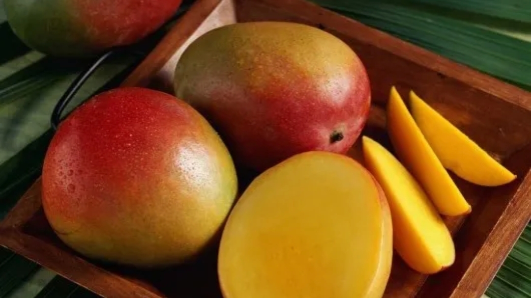 Mango de Colombia a Estados Unidos