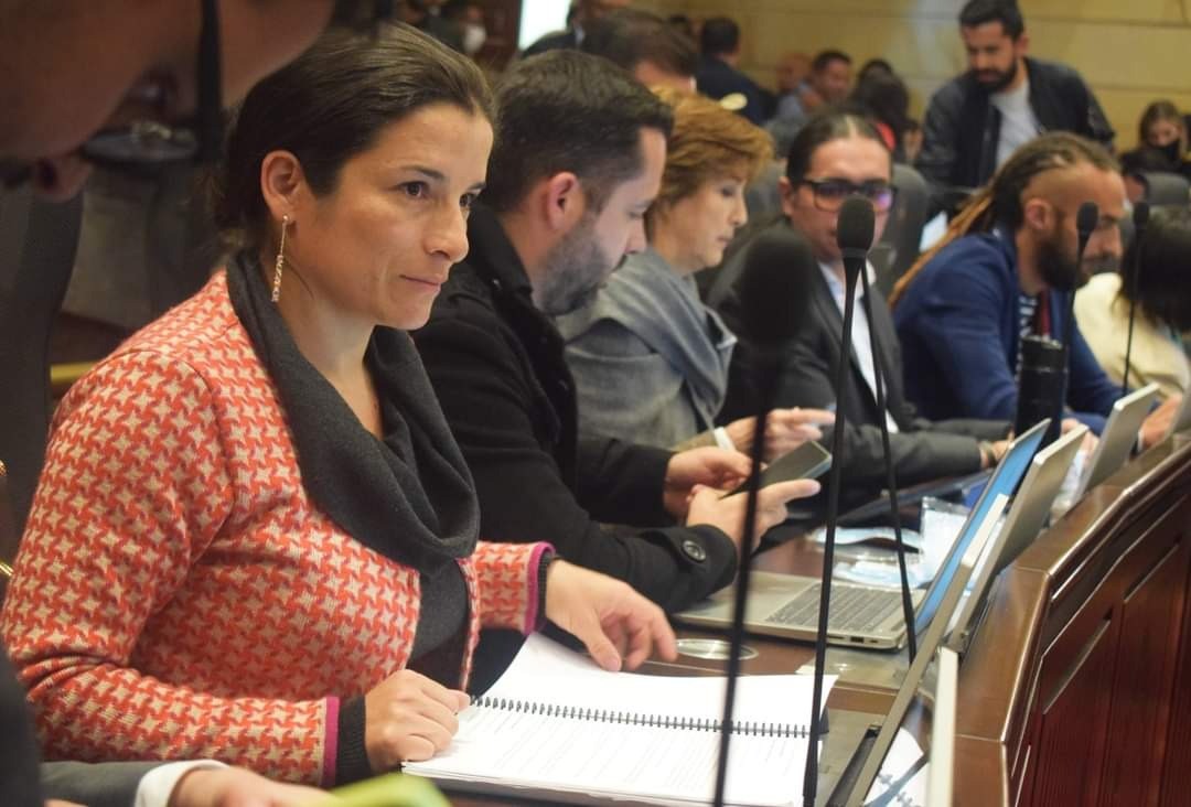 "En lo corrido del 2022 han asesinado a 35 líderes sociales en el Tolima": Martha Alfonso