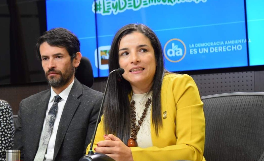 Martha Alfonso y su perseverante tarea de sacudir la participación ciudadana
