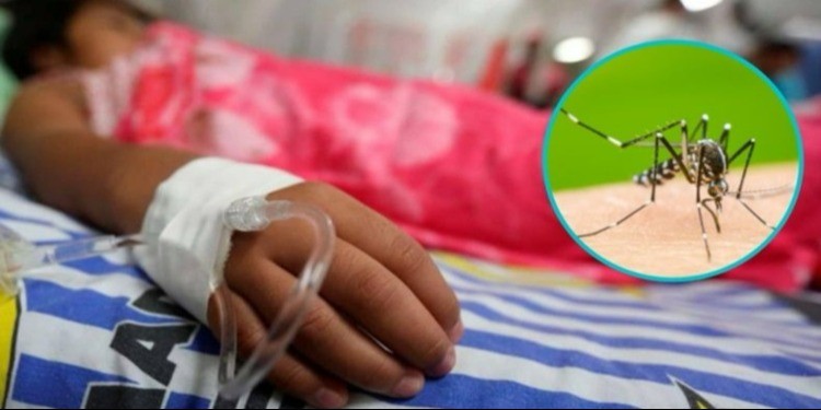 Ministerio de Salud alertó por brote grave de dengue en el Tolima