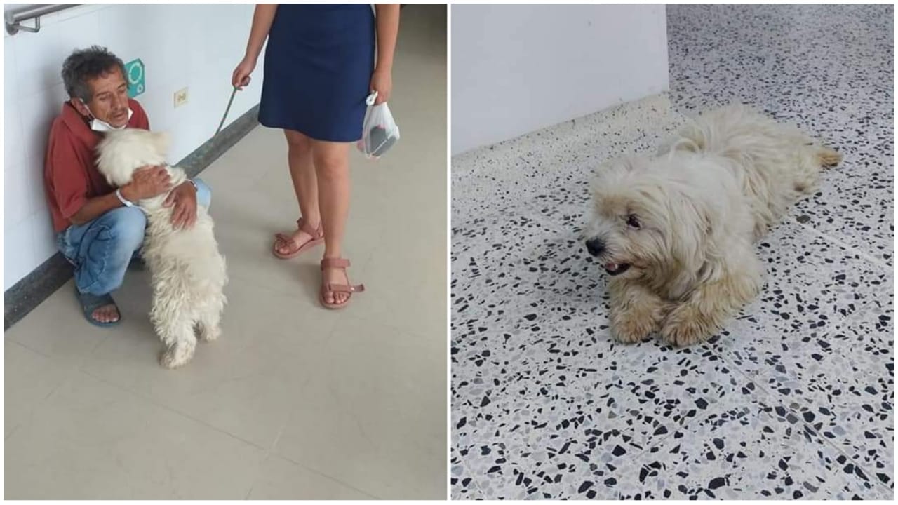 El perro fiel que acompañó a su dueño interno en el hospital de Rovira