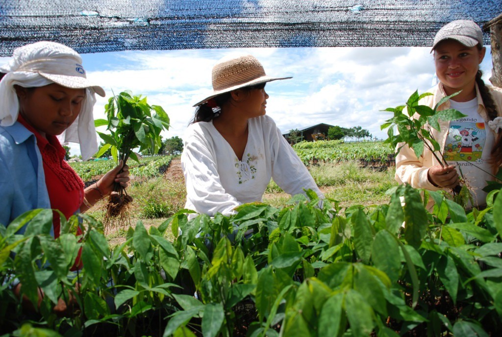 Municipios del Tolima contarán con capacitaciones técnicas para mujeres
