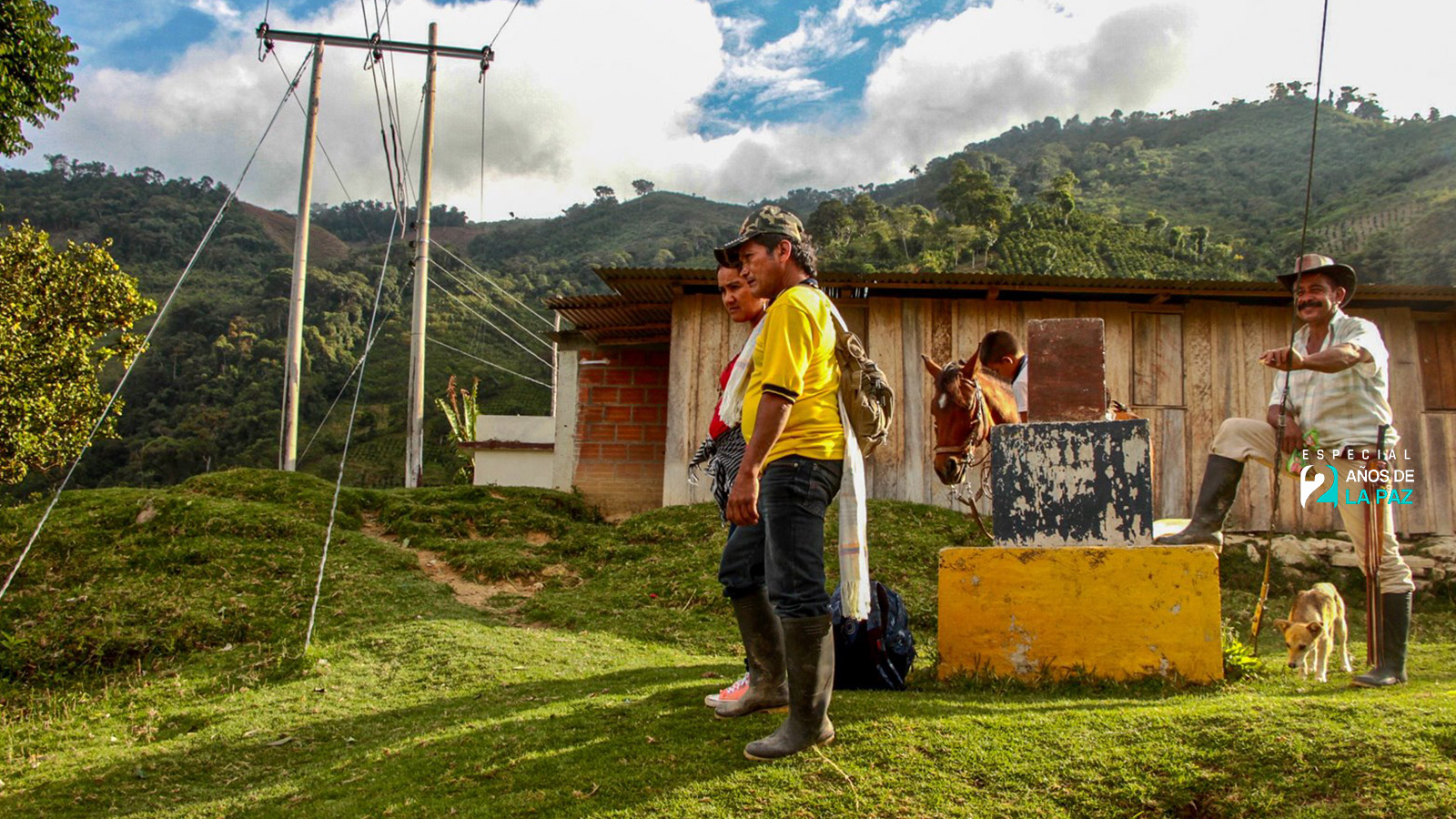 Municipios PDET del Sur del Tolima avanzan en agricultura, desarrollo rural, vivienda y educación