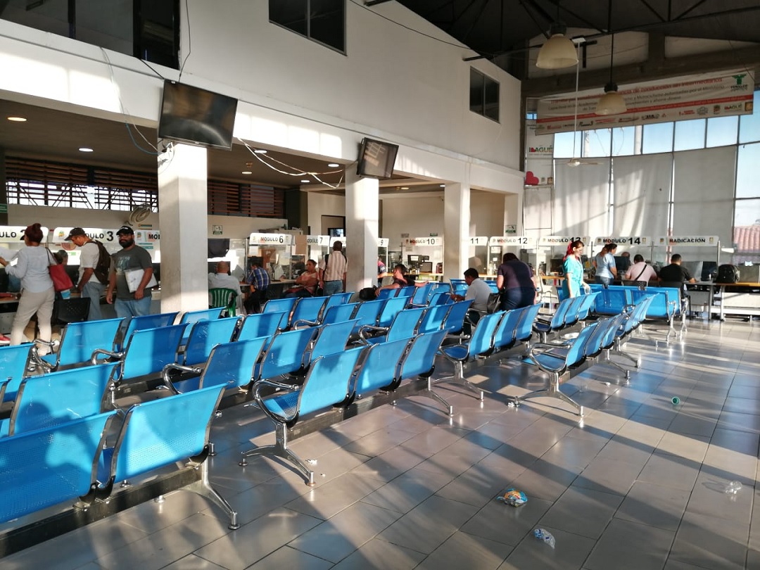 Contratan personal para Secretaría de Movilidad de Ibagué