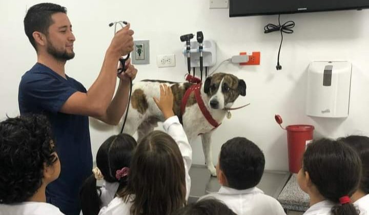 Niños tolimenses podrán ser veterinarios por un día en el Hospital Veterinario de la UT
