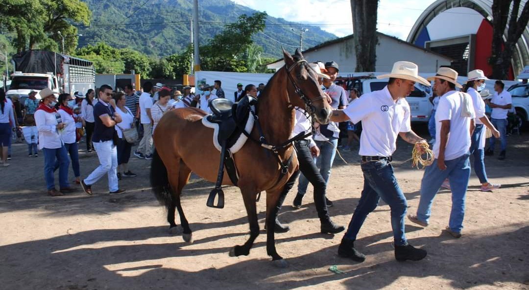 No habrá más cabalgatas en Ibagué, Alcaldía no las autorizará de nuevo