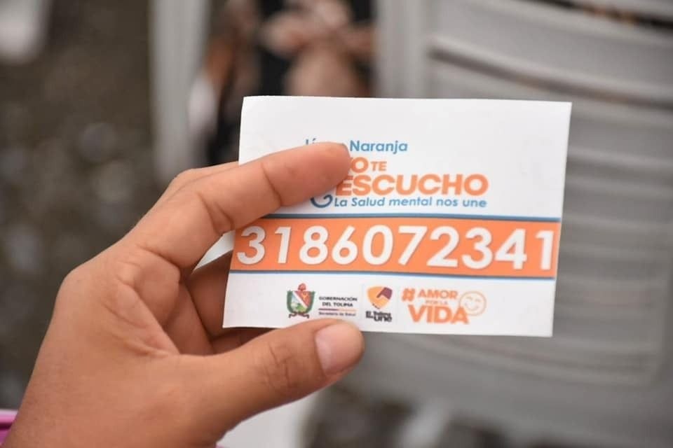 "Nunca la institucionalidad podrá abordar sola, la salud mental de las personas" Sandra Bedoya.
