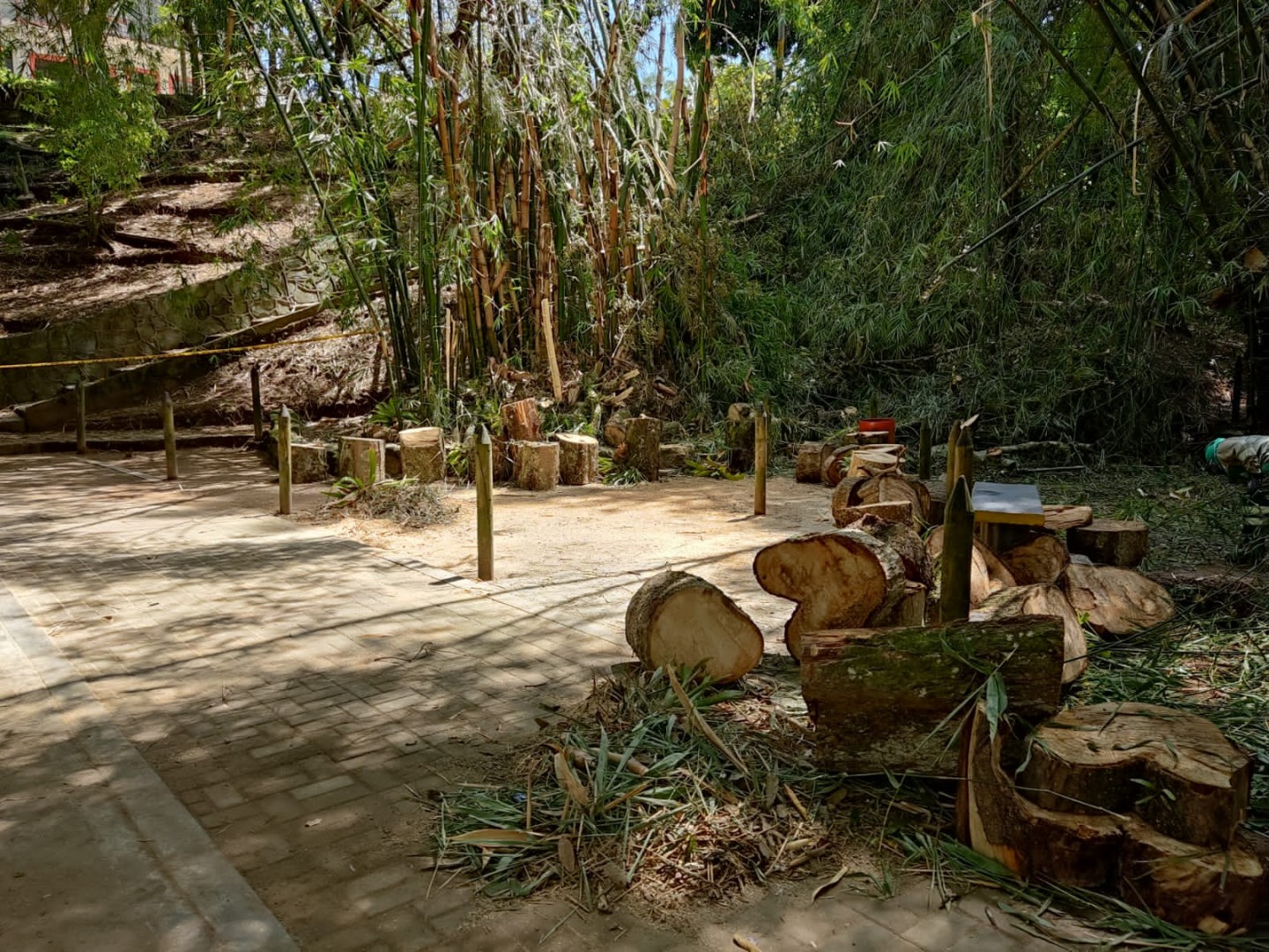 Parque Centenario de Ibagué y su incierto futuro