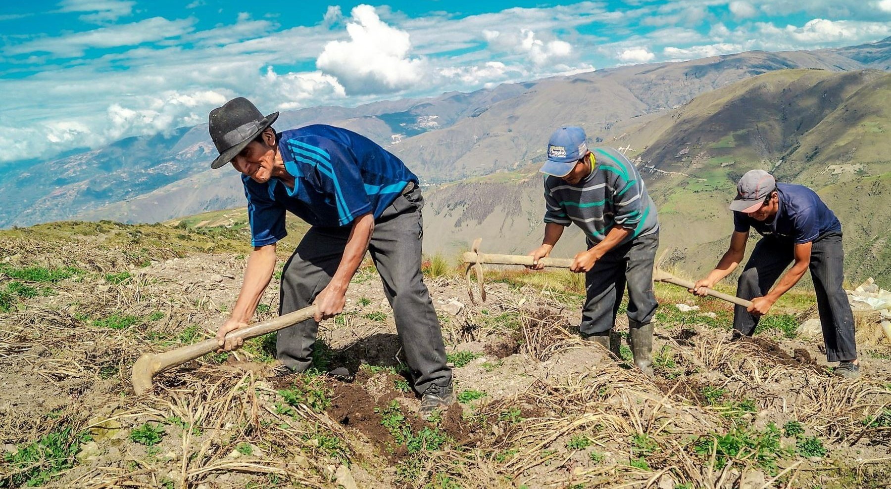 Pequeños productores en 2024 con mejores oportunidades de créditos
