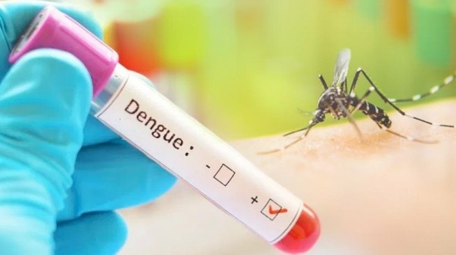 Piden intensificar medidas de control del dengue