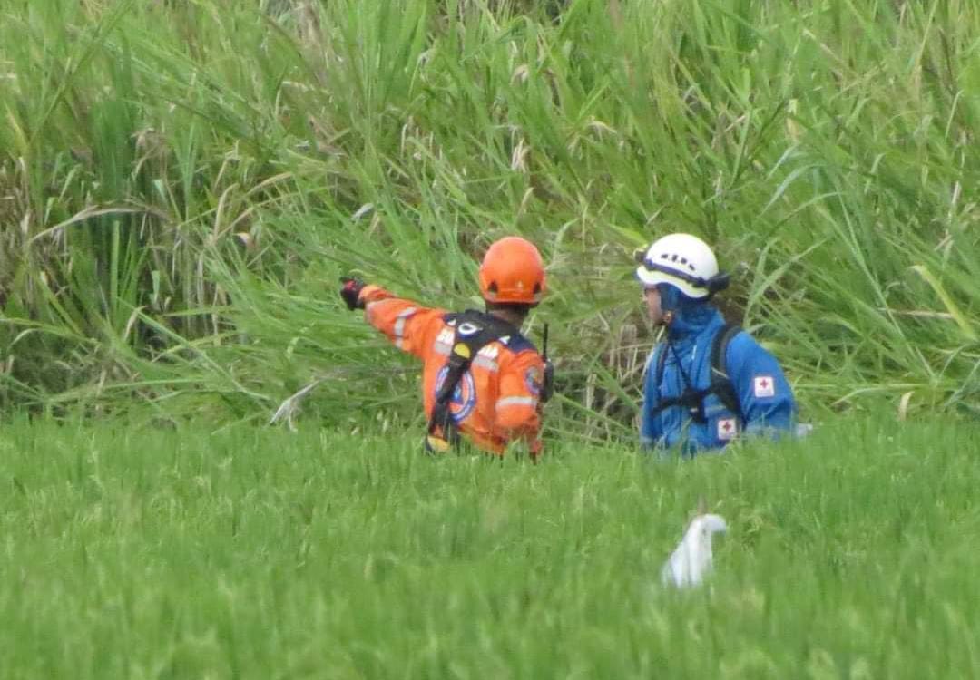 Lo que se sabe del piloto desaparecido en la zona rural de Ibagué
