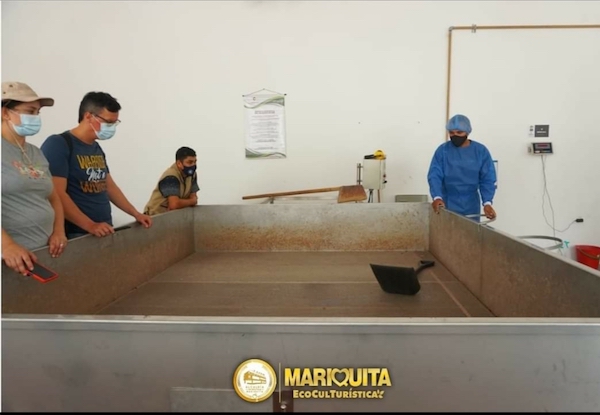 Mariquita con planta procesadora de cacao