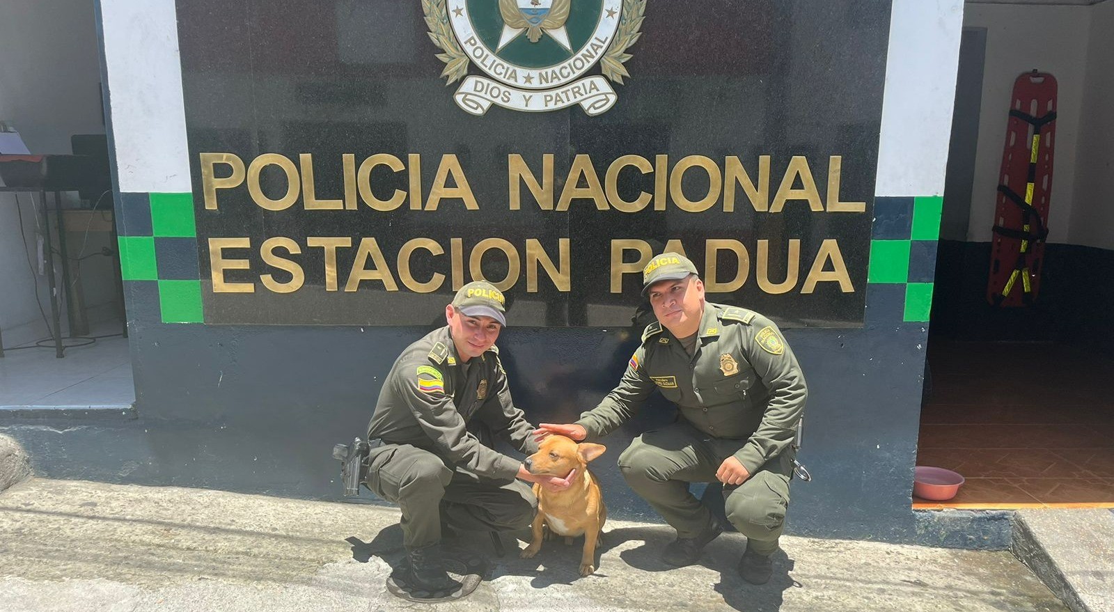 Policías convirtieron la estación de Padua en refugio para perritos de la calle
