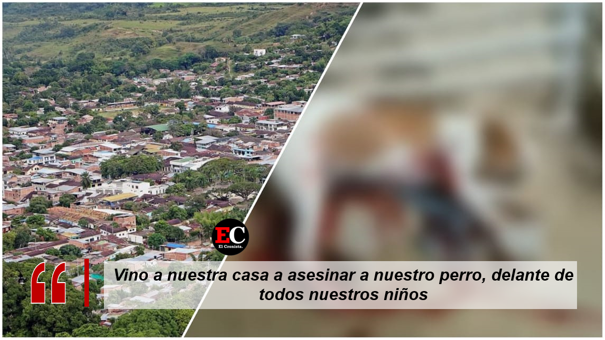 Indignación por hombre que asesinó a un perro frente a niños en Rovira