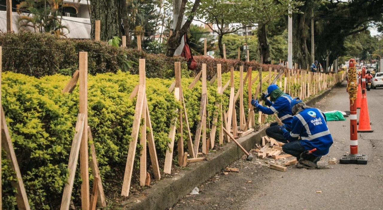 Protegen jardines de la carrera Quinta para evitar daños durante el Festival Folclórico