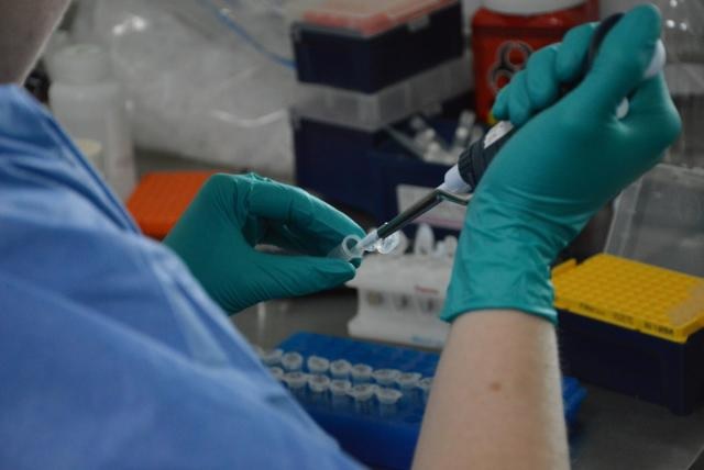 Tolima: 39 casos de coronavirus en las últimas 24 horas