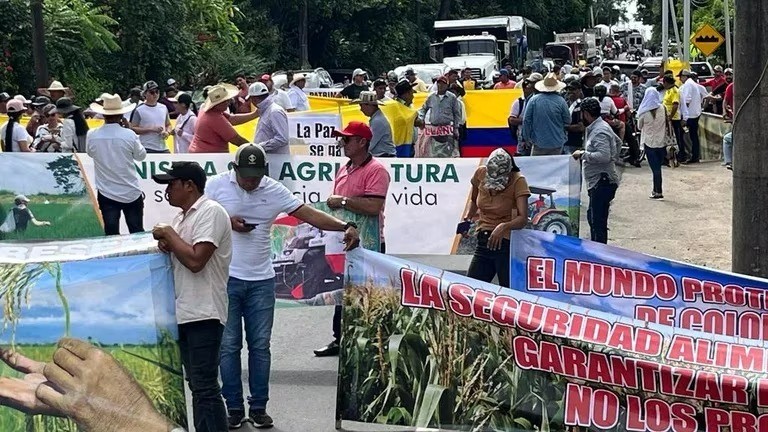 Para los arroceros los nuevos recursos del Ministerio de Agricultura son insuficientes