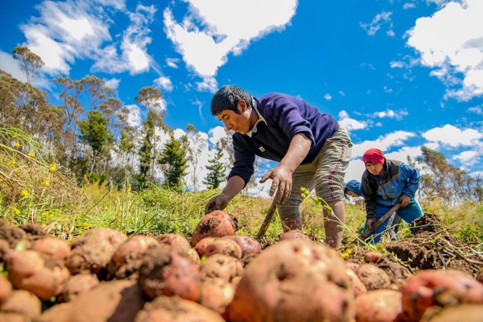“Sí va a haber Reforma Agraria”