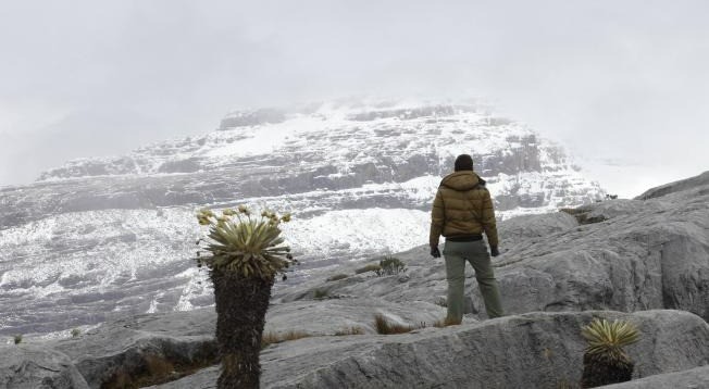 Regularán el ingreso de turistas al PNN Los Nevados