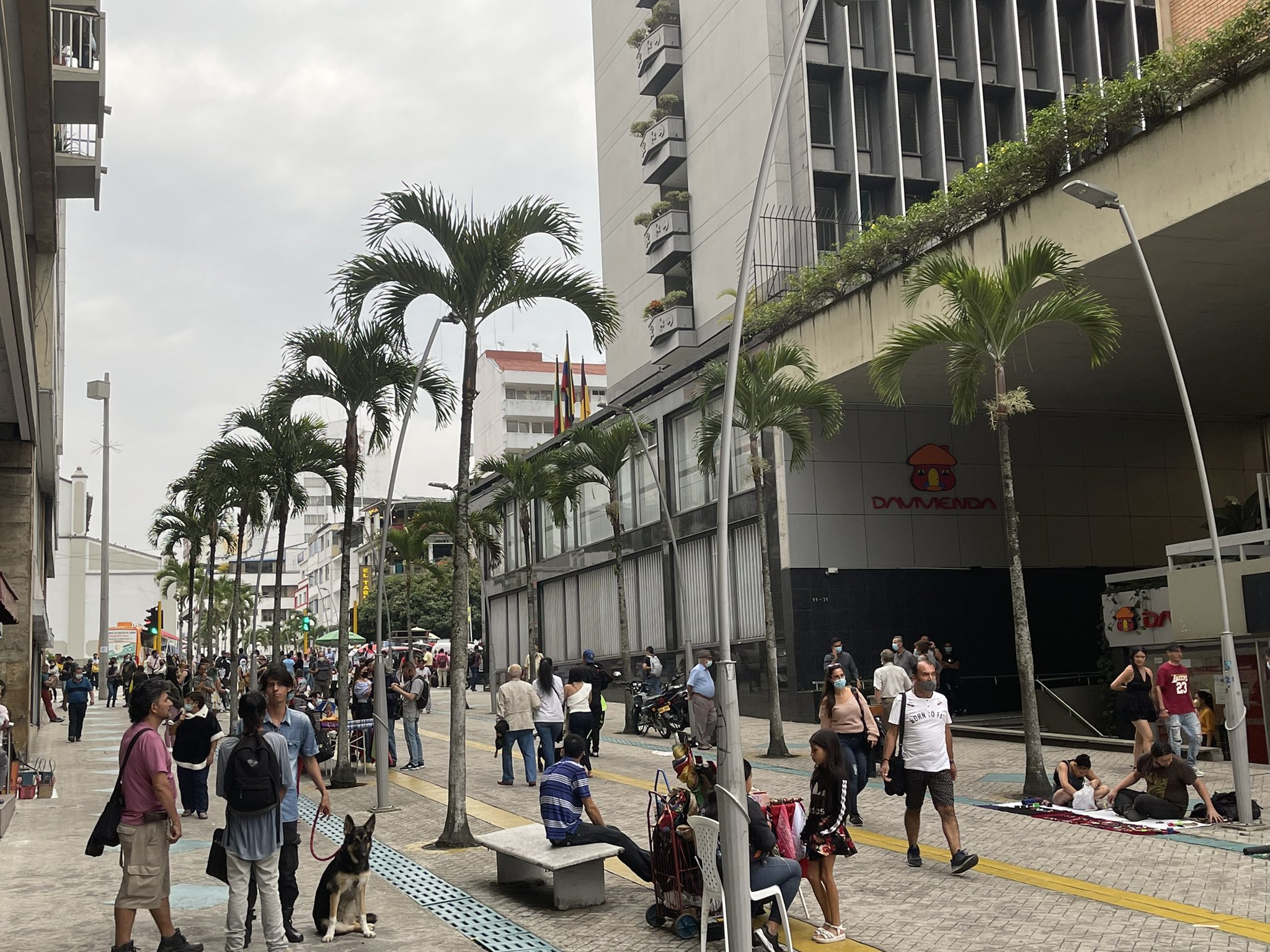 Réquiem por el centro de Ibagué