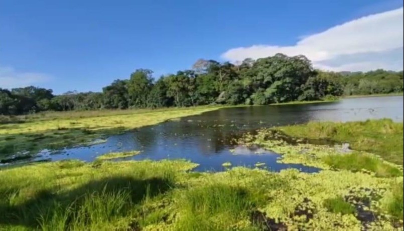 Rehabilitada laguna El Silencio de San Sebastián de Mariquita