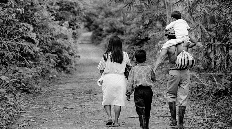 Acuerdos de paz con las FARC permitieron avance histórico en restitución de tierras en el Tolima