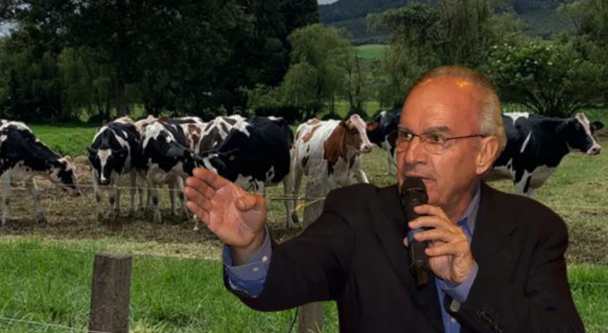 Ricardo Barreneche, 'el rey de los remates de ganado', estará en Ibagué